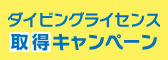 ダイビングライセンスキャンペーン
